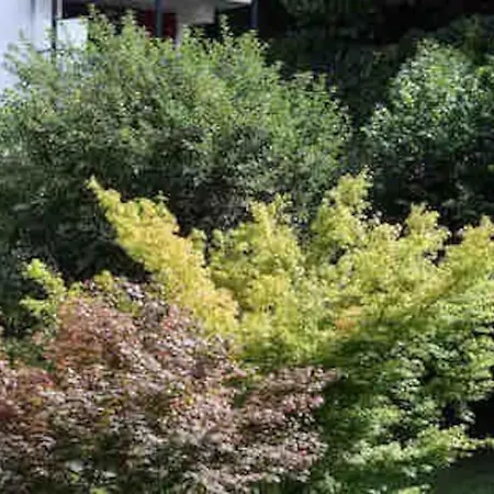 Patio Arena Apartmán