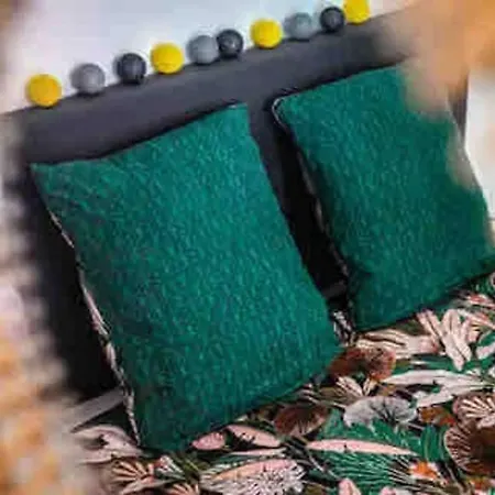 Patio Arena * バイヨンヌ