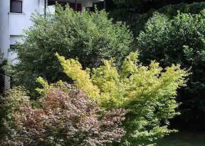 Patio Arena Appartamento